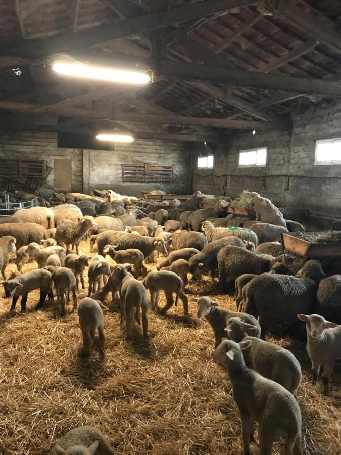 아흘르 Studio A La Ferme 빌라 외부 사진