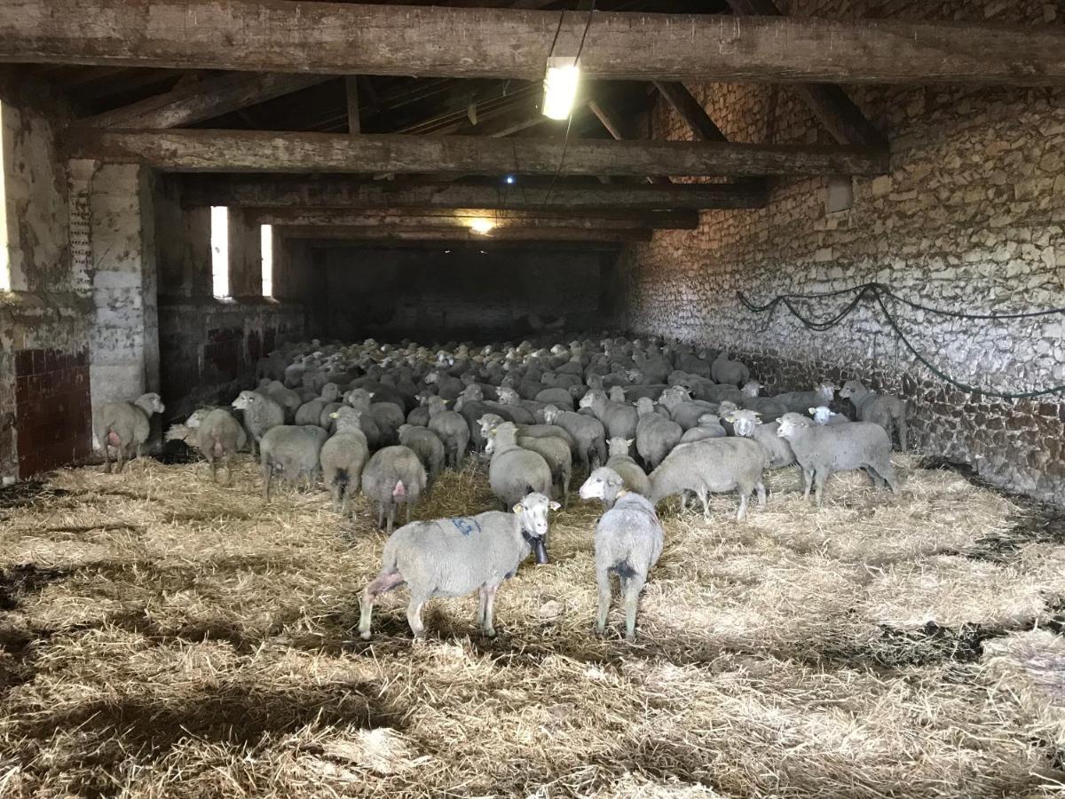 아흘르 Studio A La Ferme 빌라 외부 사진